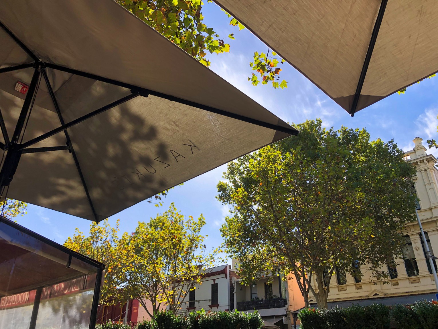 Natural Canvas Market Umbrellas Sky View